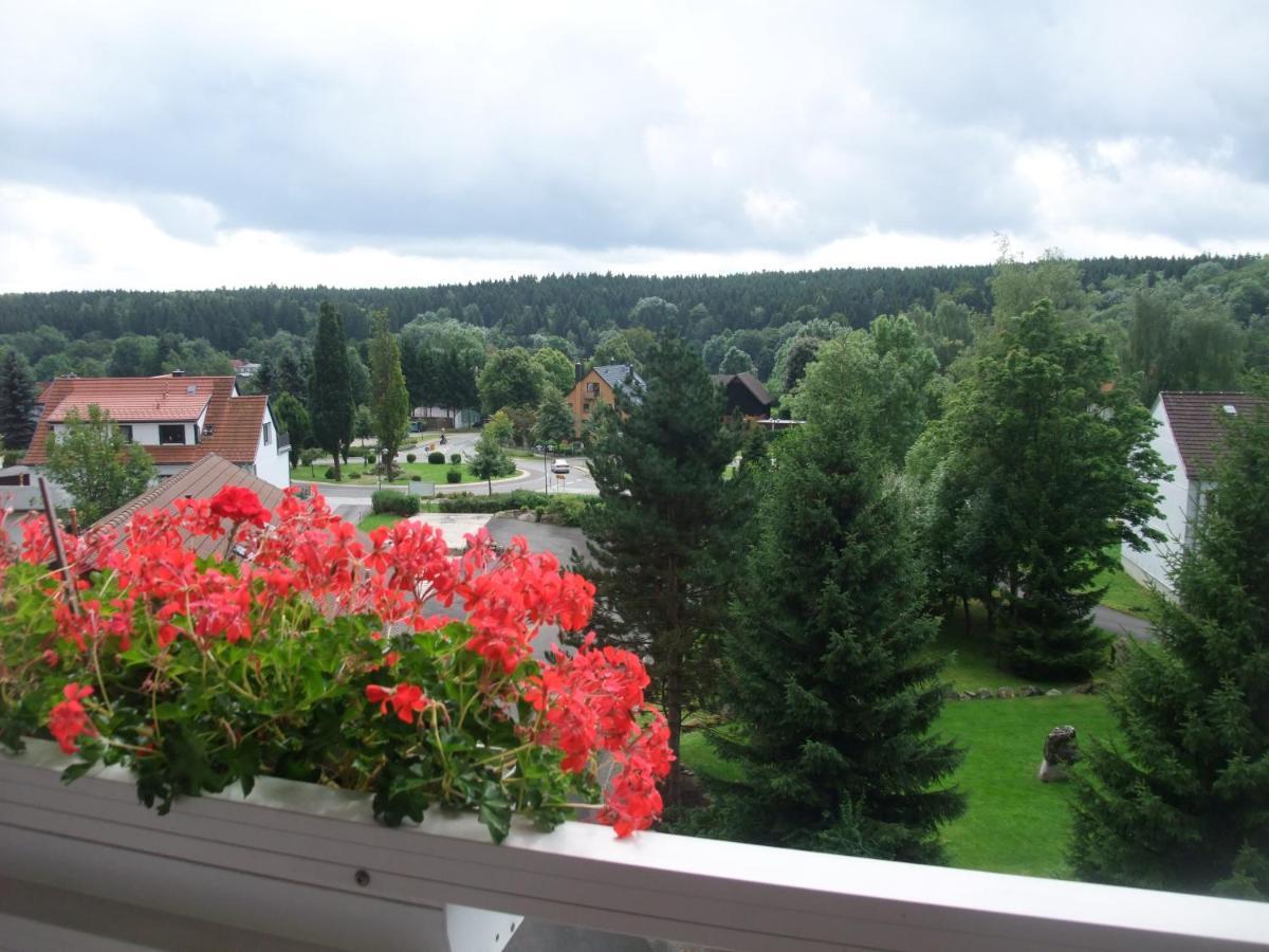 Ferienhaus Hubertus In Elend Mit Balkons Extérieur photo