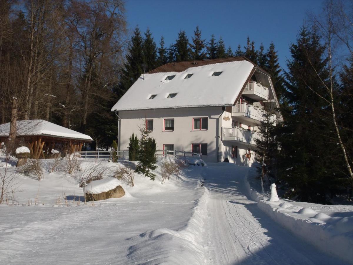 Ferienhaus Hubertus In Elend Mit Balkons Extérieur photo